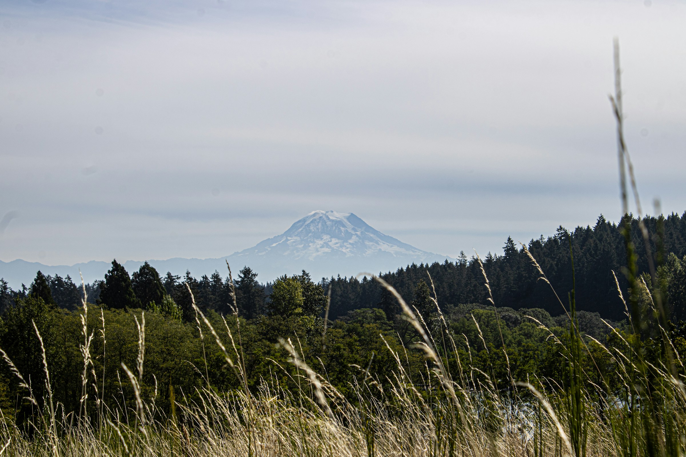 Featured image of Lakewood